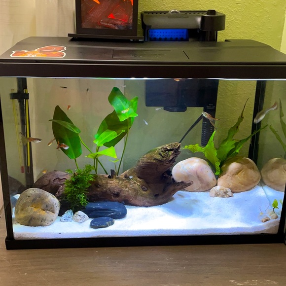 5.5 aquarium - Picture 1 of 1